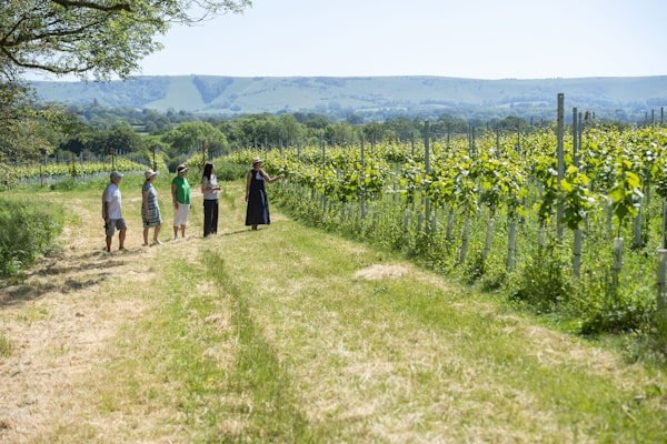 tourhub | Travel Editions | Food and Wine in Sussex with Valentina Harris 