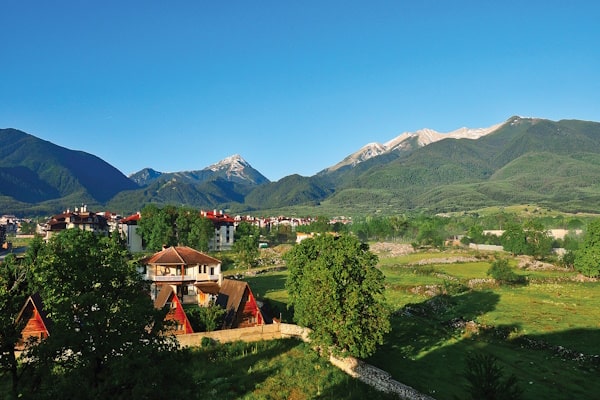 tourhub | Travel Editions | Alpine Wildflowers of Bulgaria Tour 