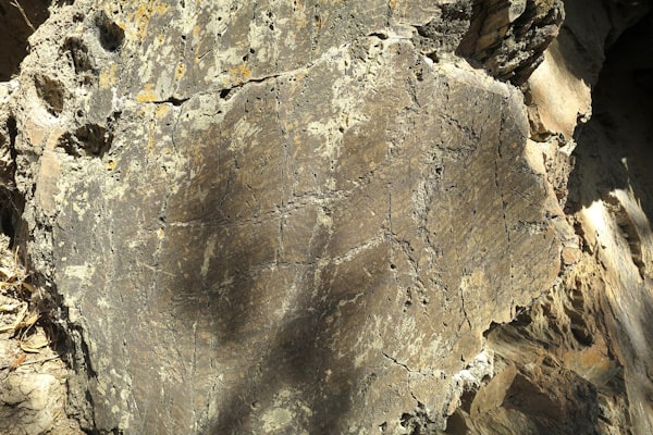 tourhub | Travel Editions | Pre-Historic Rock Art in Portugal 