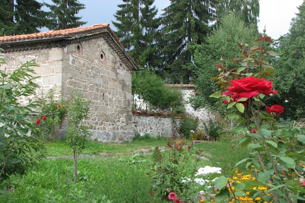 tourhub | Travel Editions | Alpine Wildflowers of Bulgaria Tour 