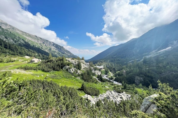 tourhub | Travel Editions | Alpine Wildflowers of Bulgaria Tour 