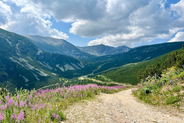 tourhub | Travel Editions | Alpine Wildflowers of Bulgaria Tour 