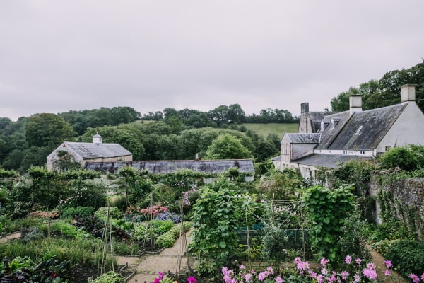 tourhub | Travel Editions | Gardens Of Somerset And Dorset Gardeners World Exclusive 