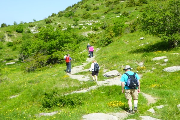 tourhub | Travel Editions | Walking in Epirus Tour 