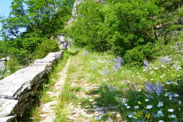 tourhub | Travel Editions | Walking in Epirus Tour 