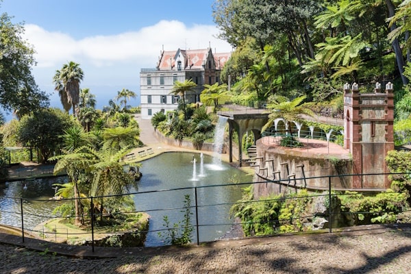 tourhub | Travel Editions | Gardens of Madeira Tour 