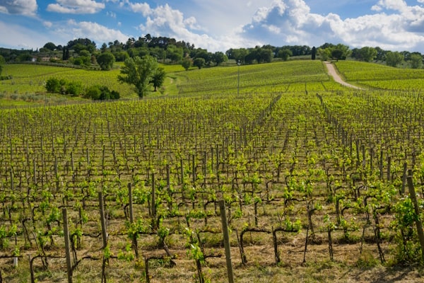 tourhub | Travel Editions | Walking in Umbria Tour 